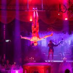 QK5A1227_(c)_Harald_Klemm